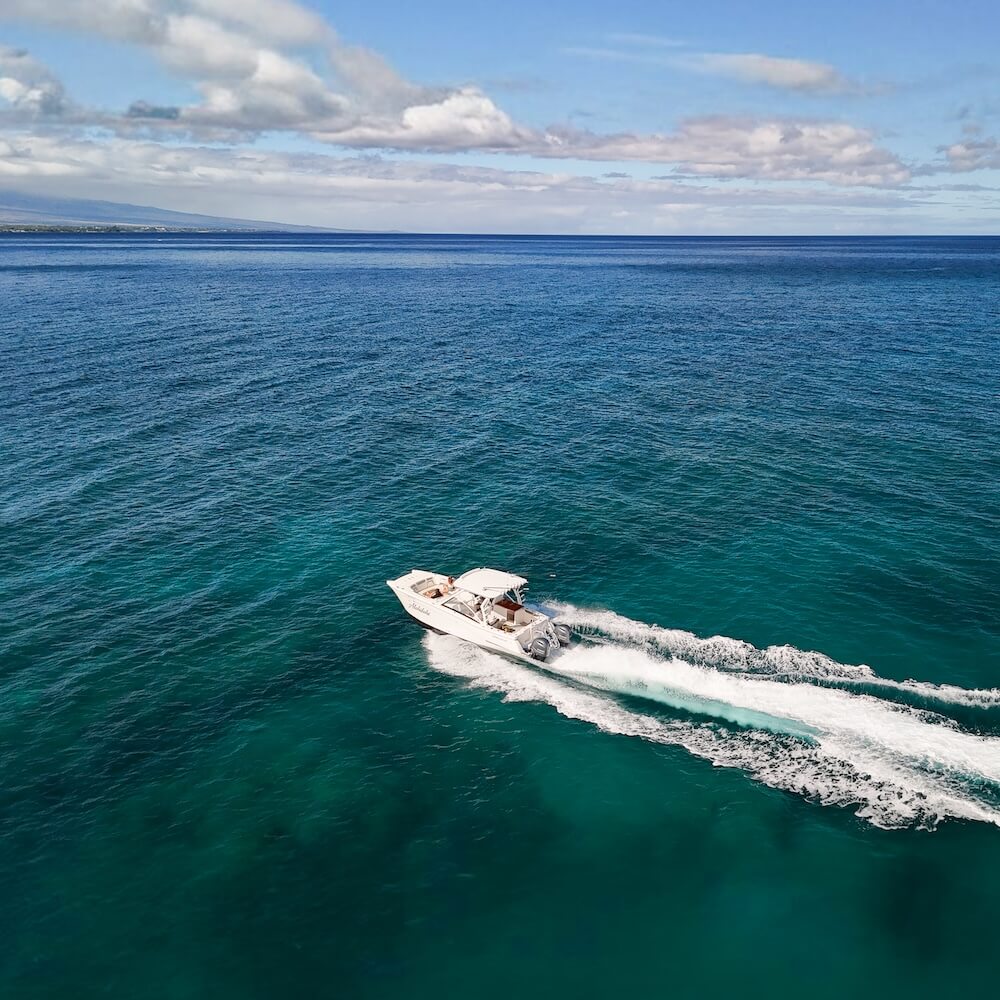 whale watching off the coast of kona, big island of hawaii