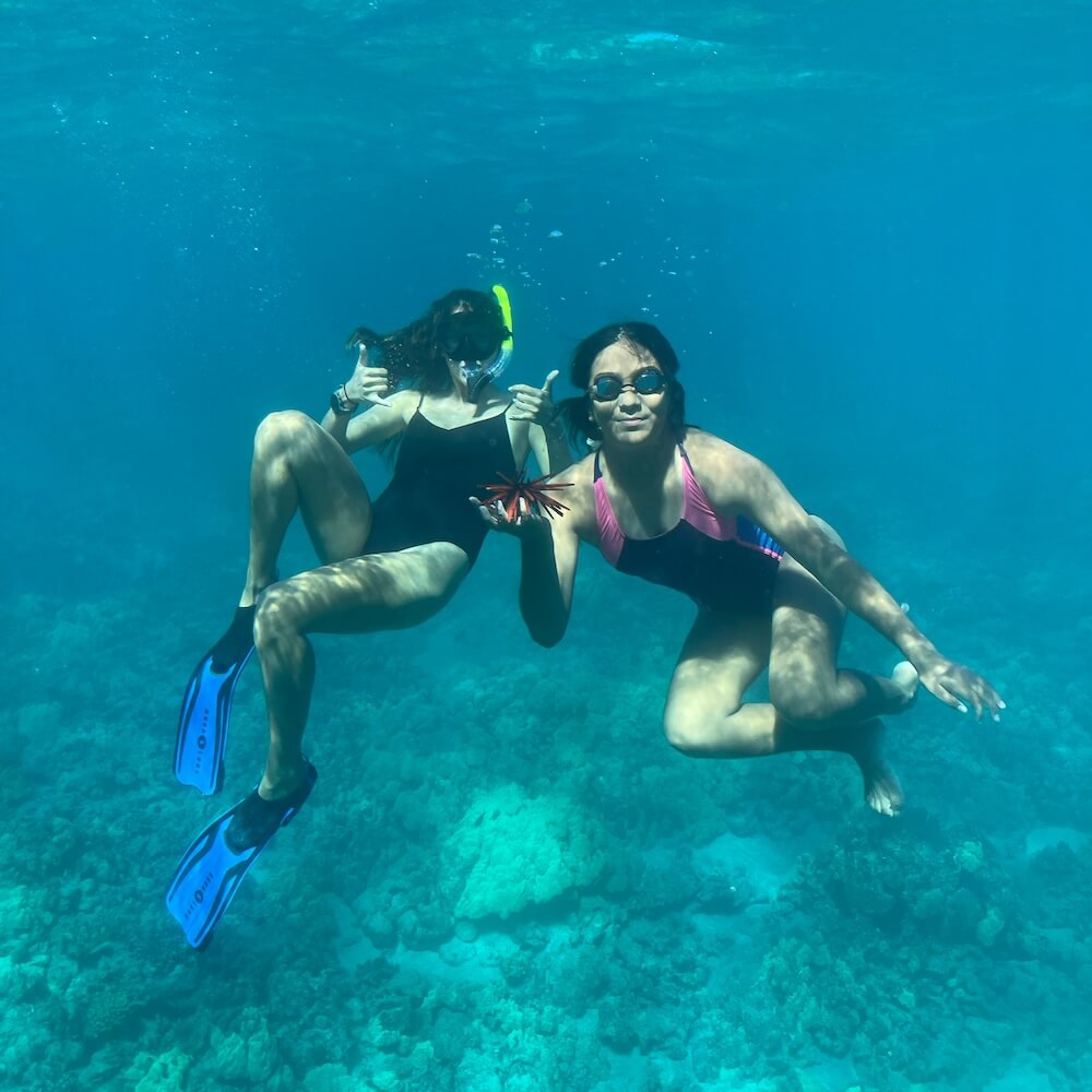 snorkeling tour off the coast of kona, big island of hawaii